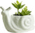 Snail Succulent Planter - SimpleStore99