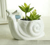 Snail Succulent Planter - SimpleStore99